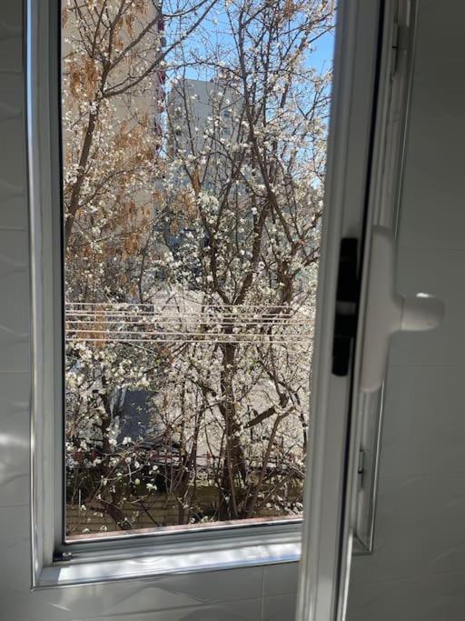 Warm Apartment In The Center Of Tirana City Экстерьер фото